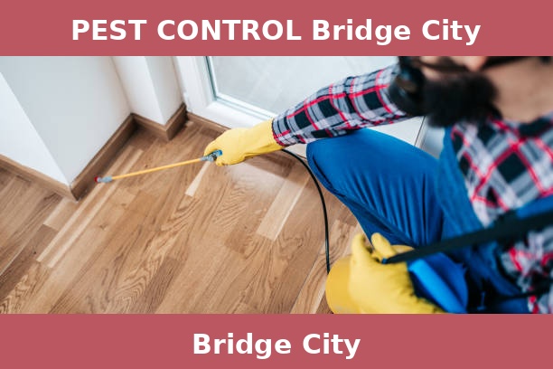 PEST CONTROL Bridge City